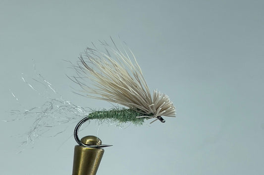 X CADDIS PALE OLIVE