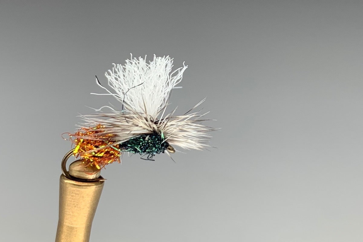 DISCO ANT (COPPER BUTT)