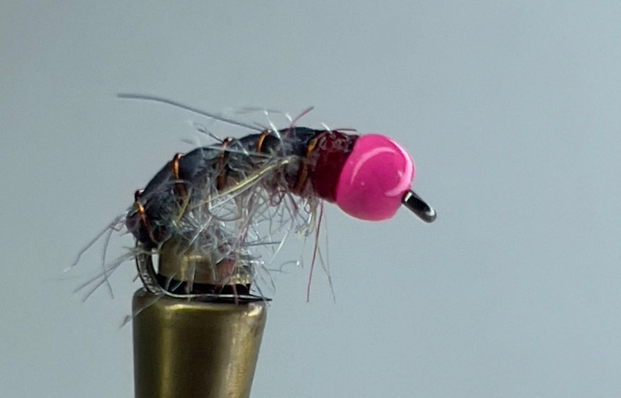 BIG HORN SHRIMP (RAINBOW/PINK)