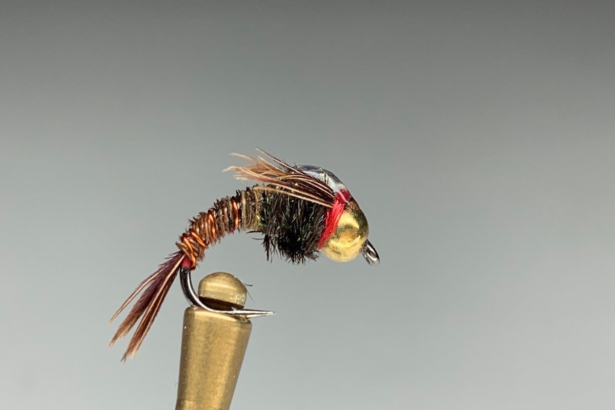 CURVE SHANK FLASHBACK PHEASANT TAIL