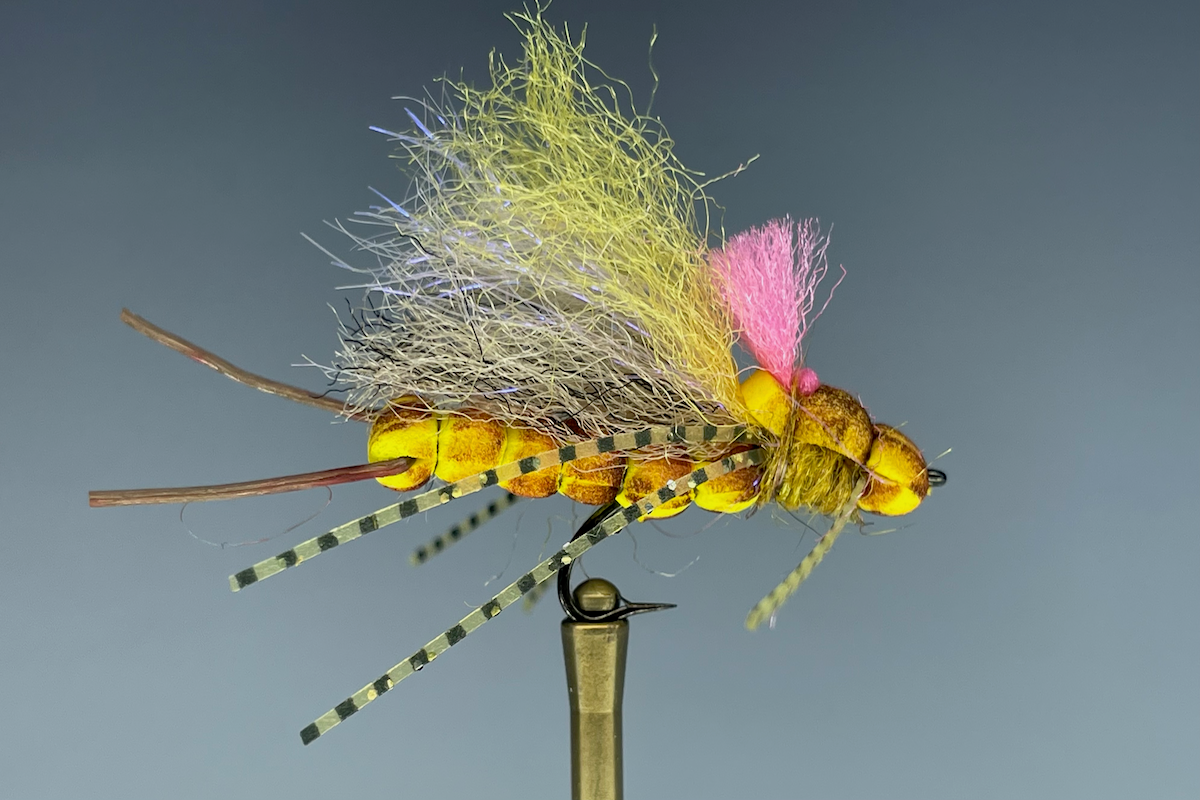 SEAMSTRESS STONEFLY (GOLDEN)