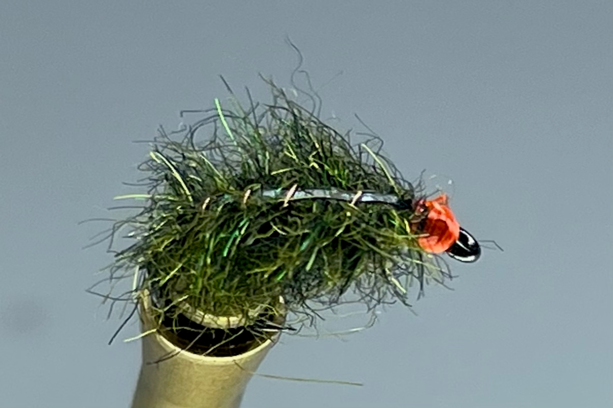 CARPET SOW BUG (GREEN OLIVE)