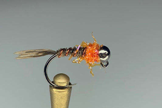 DARK HEAD FRENCHIE (ICE ORANGE)