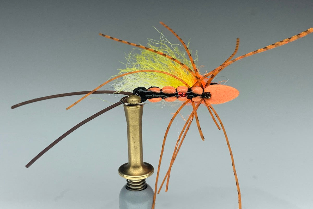 SHARON STONE (SALMON FLY)