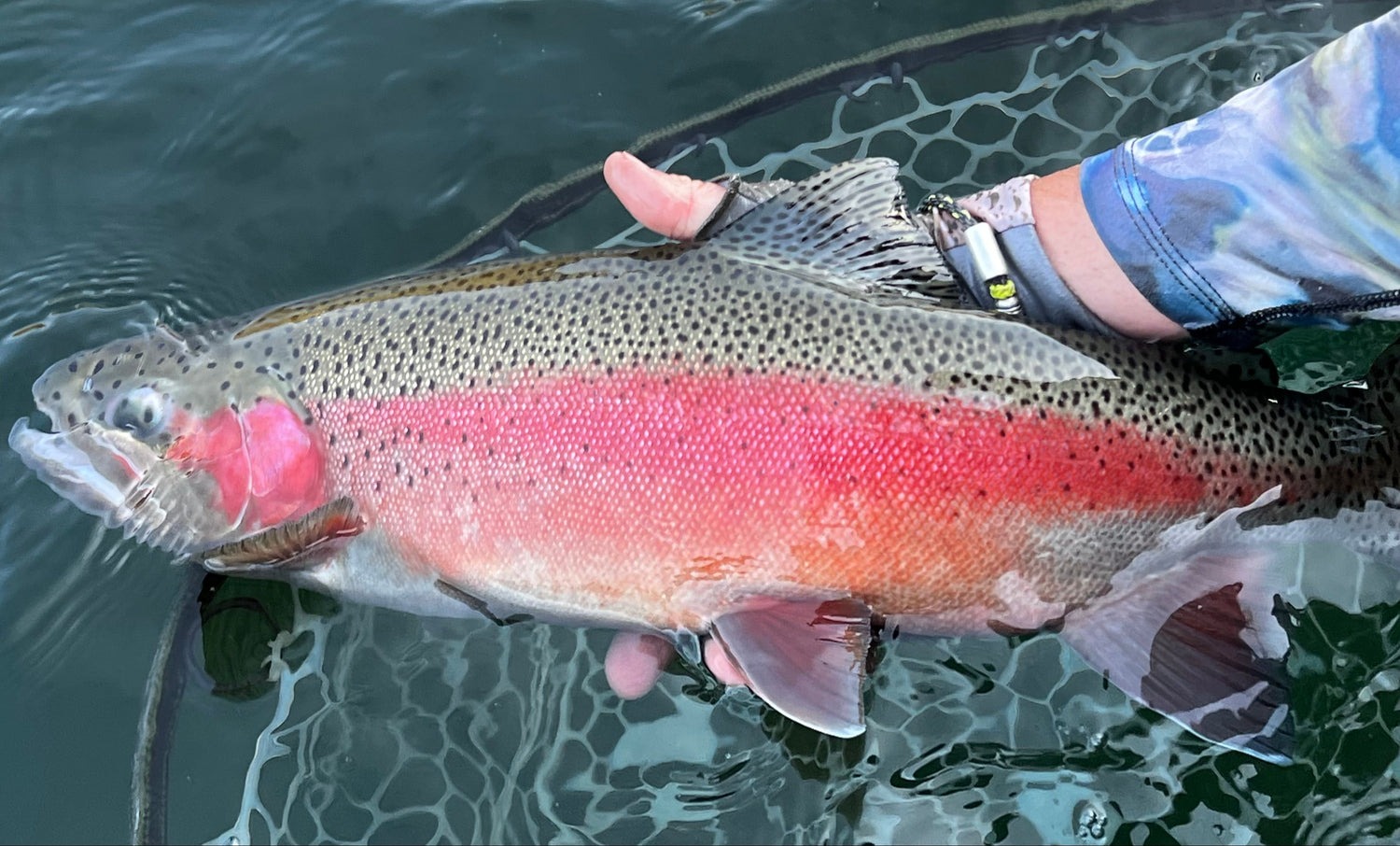 UPPER COLUMBIA RIVER GUIDED FLY FISHING TRIPS