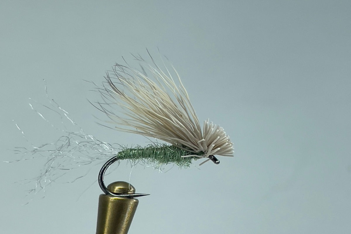 X CADDIS PALE OLIVE