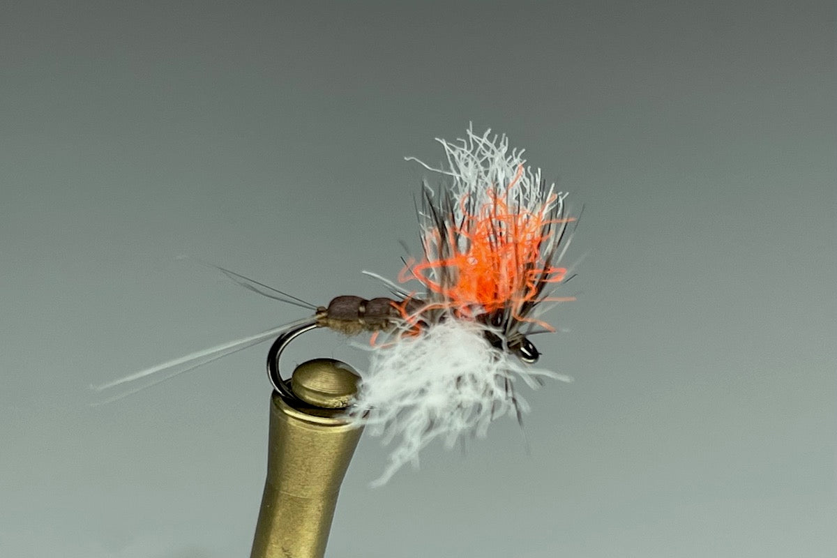 SPINNAKER (MARCH BROWN)