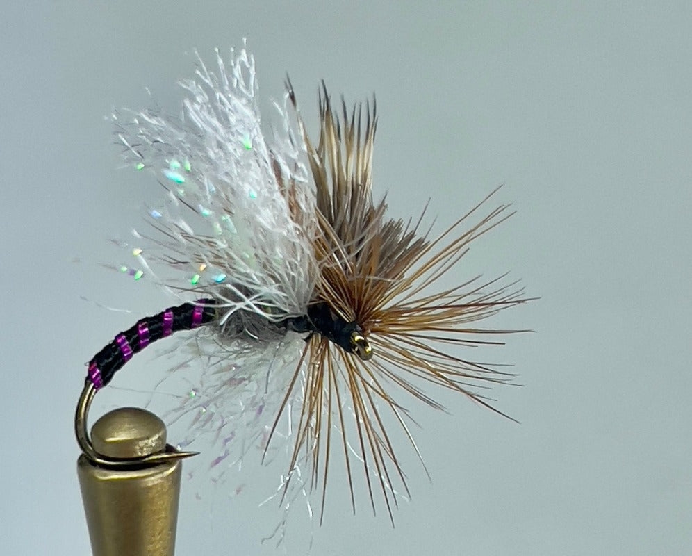 SEAM SUCKER CADDIS (PURPLE/BLACK)