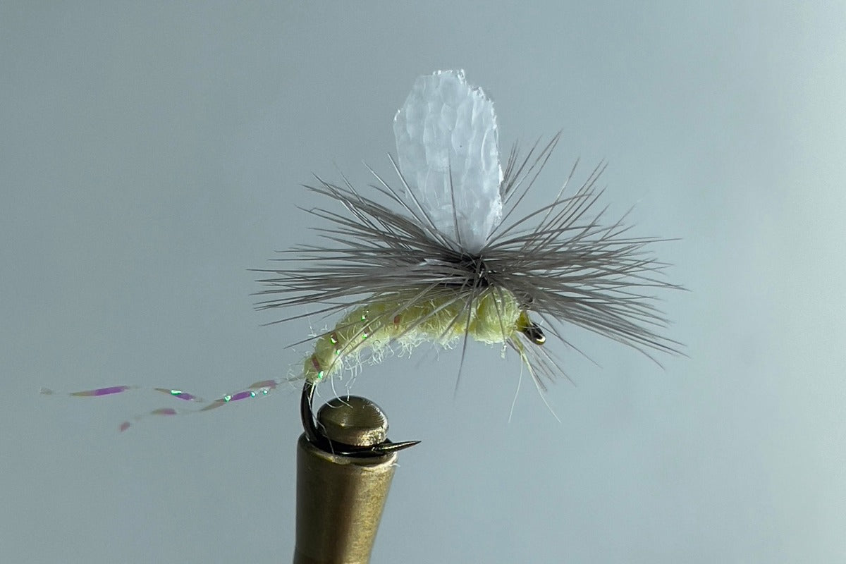 PACK FOAM EMERGER (PMD)