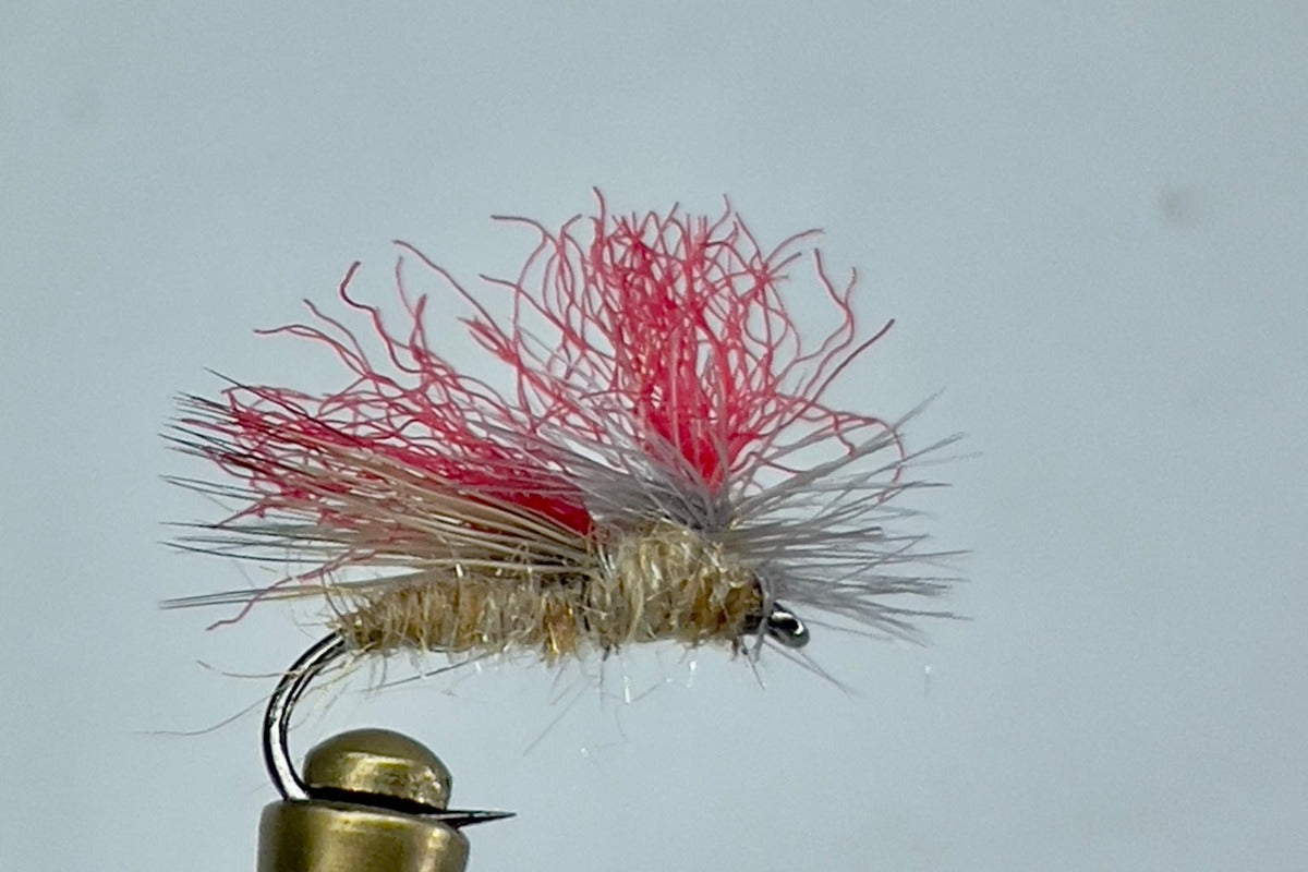 RED HEAD CADDIS (TAN)