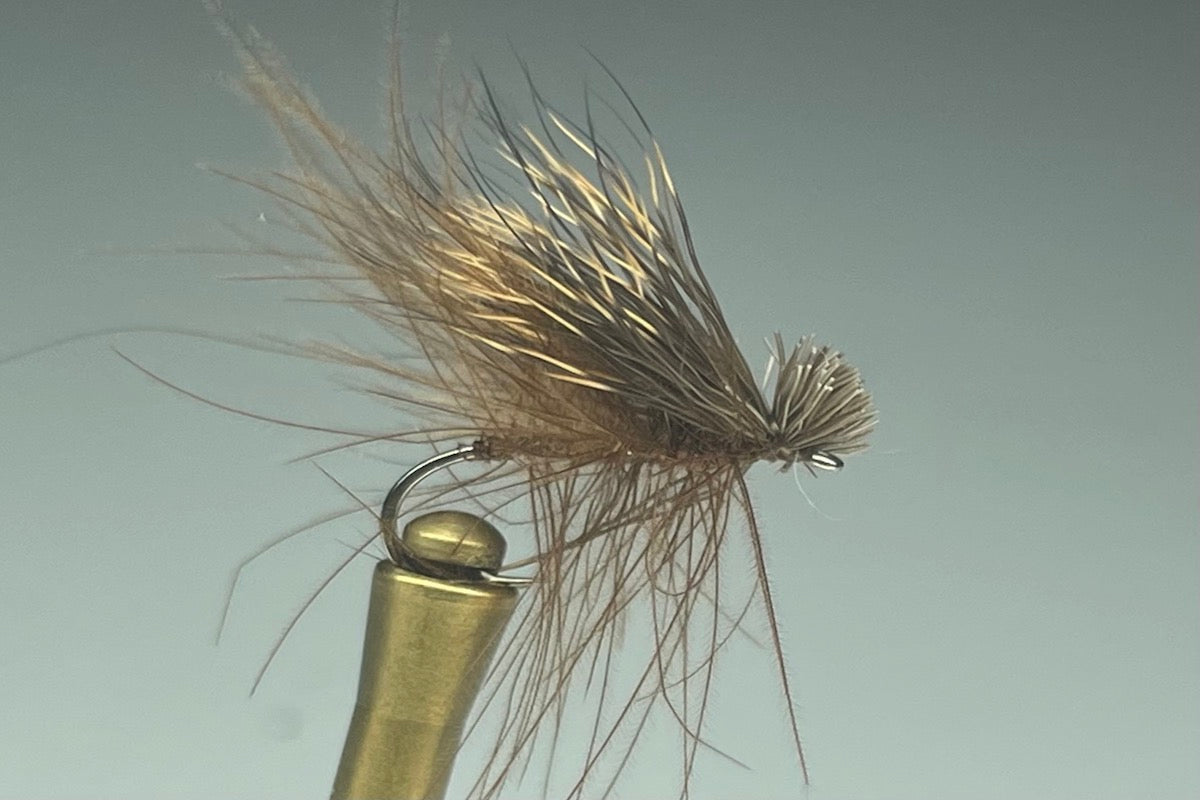 CDC ELK HAIR CADDIS (BROWN)