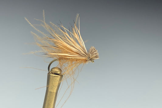 CDC ELK HAIR CADDIS (AMBER)