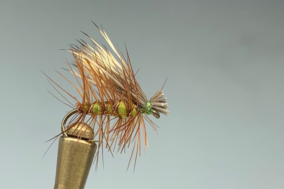 ELK HAIR CADDIS (OLIVE)