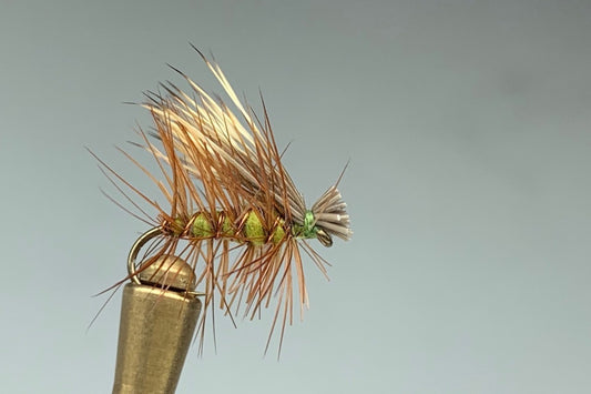 ELK HAIR CADDIS (OLIVE)