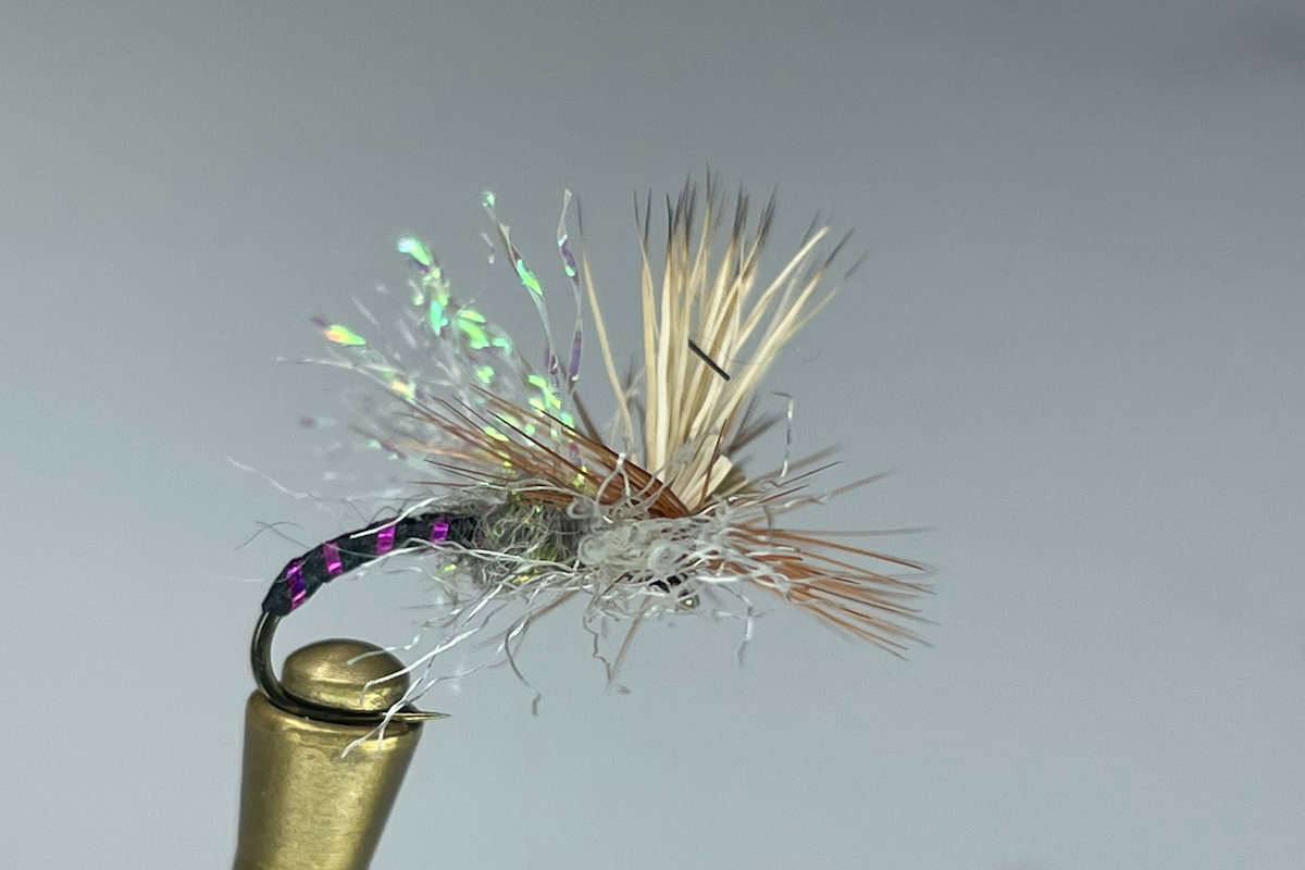 SEAM SUCKER CADDIS (PURPLE/BLACK)