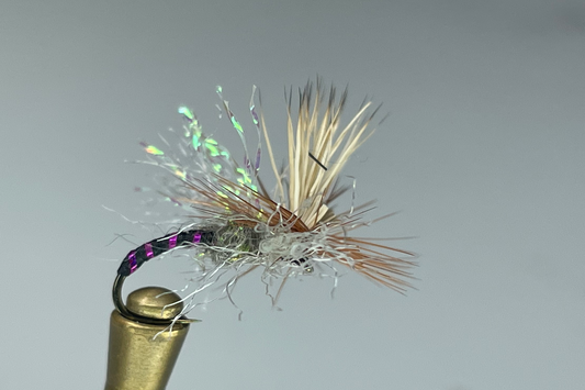 SEAM SUCKER CADDIS (PURPLE/BLACK)