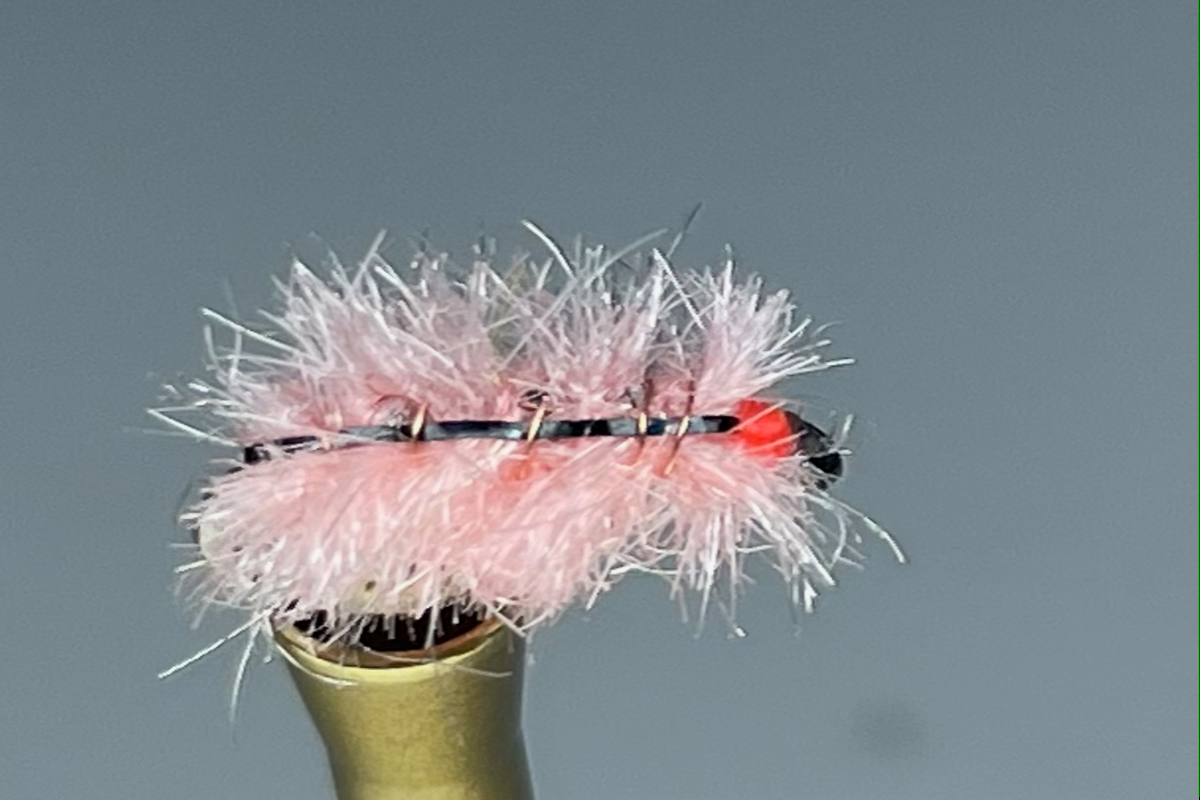 CARPET SOW BUG (PINK)