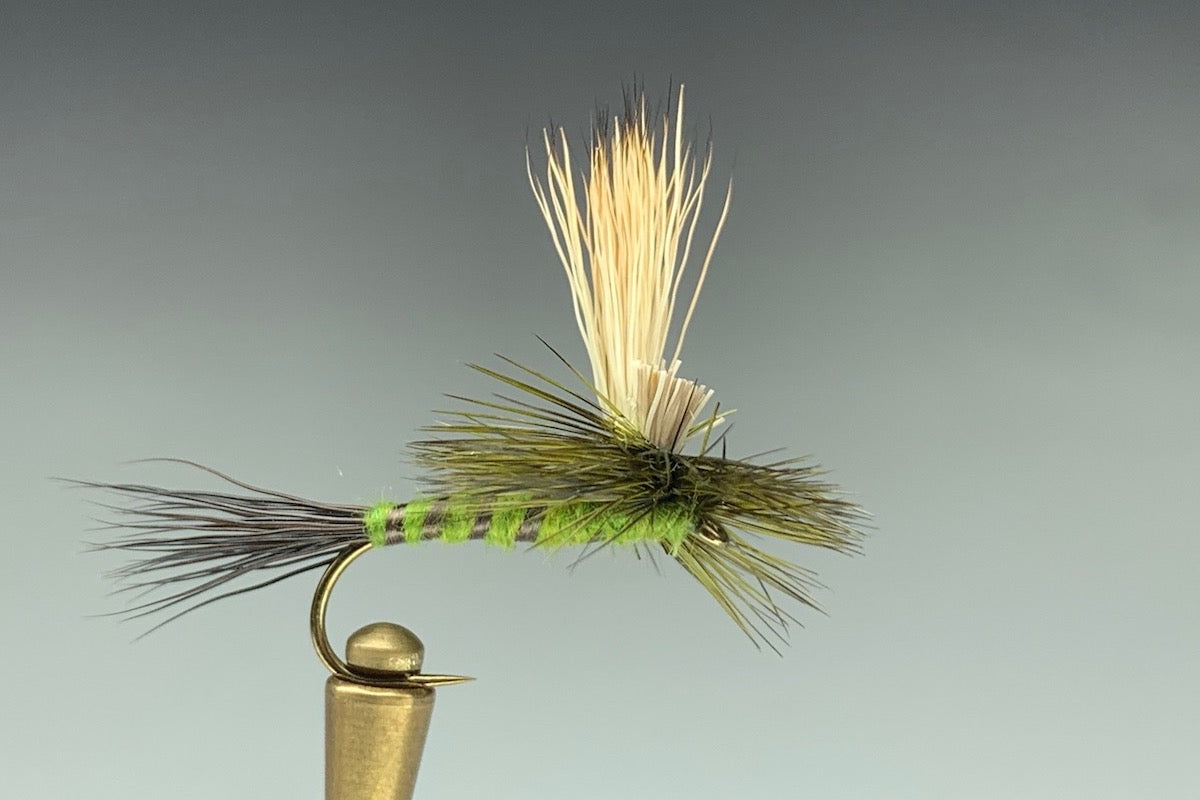 Wigwam River Green Drake Hatch