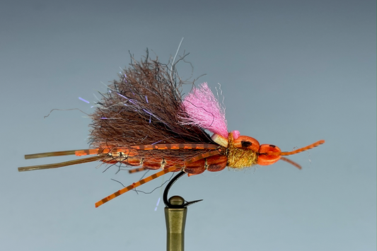 SEAMSTRESS STONEFLY (SALMON FLY)