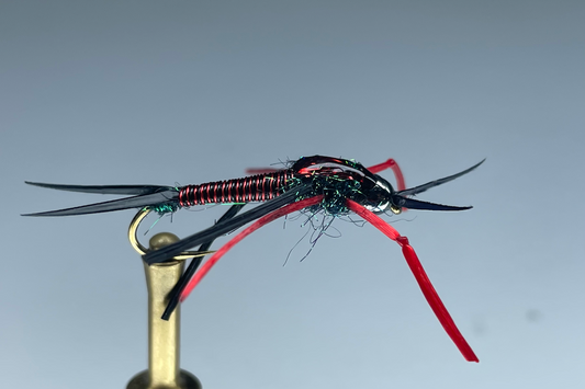 PTEROFIER NYMPH (BLACK/RED)