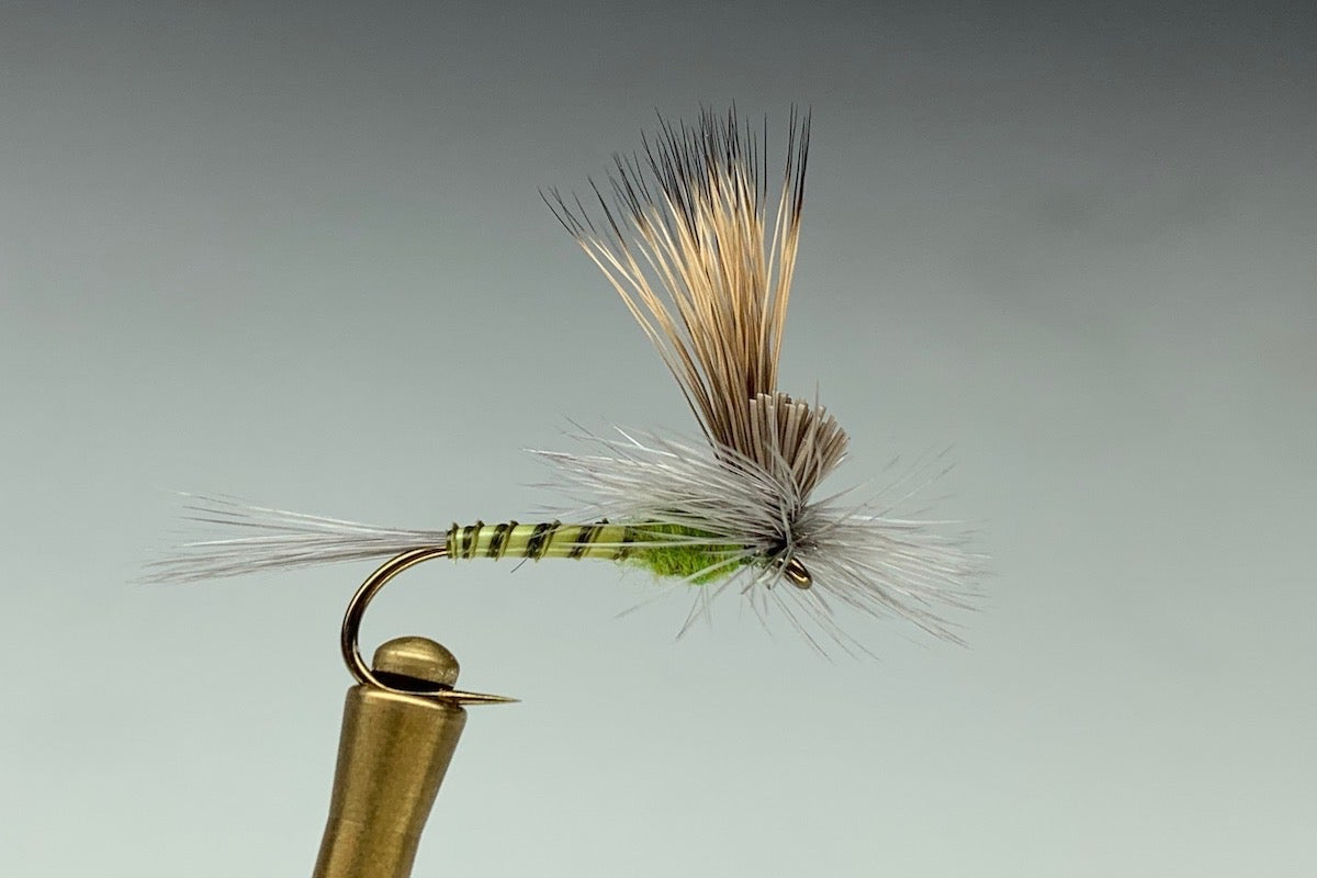 TILT WING DUN (BWO)